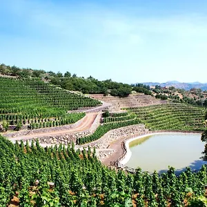 La Gelsomina - Etna Farm stay
